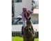  Carrera: P.Indian Prince Monta: N.de Julián Cuadra: C. E Fernández de Vega